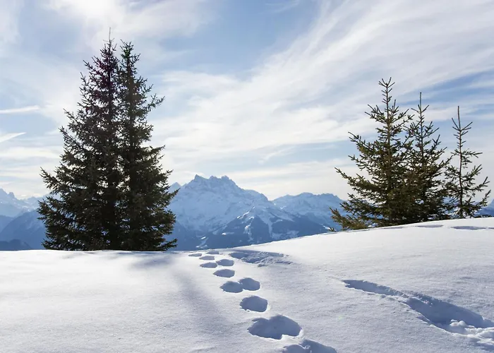 Soleil B15 By Interhome Daire Villars-sur-Ollon